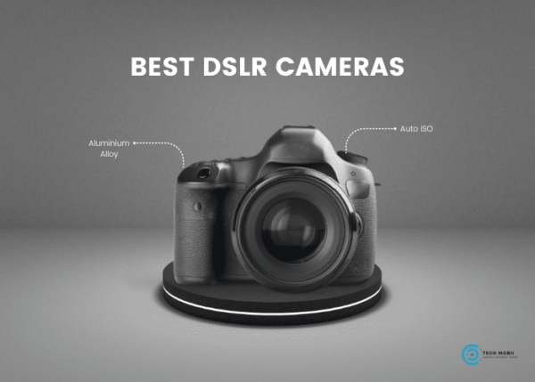 Best DSLR Cameras You Can Buy in 2024